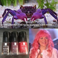 Vernis contre le crabe cancer